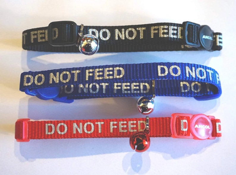 Image: https://i.etsystatic.com/34507499/r/il/ec51c9/3740920807/il_794xN.3740920807_ihen.jpg Do Not Feed Reflective Safety Release Cat Collars With Do Not image 1