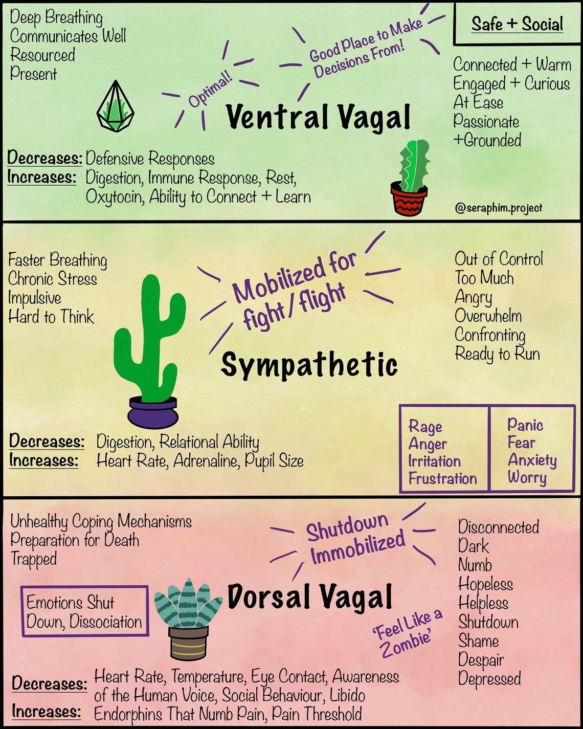 Polyvagal Theory Nervous System States Reference Sheet Etsy Canada