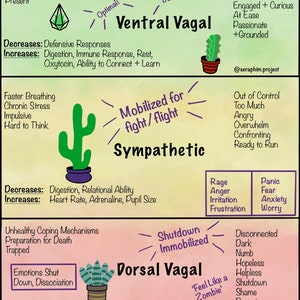 Polyvagaaltheorie, referentieblad voor toestanden van het zenuwstelsel, werkblad voor therapie, polyvagaalladder