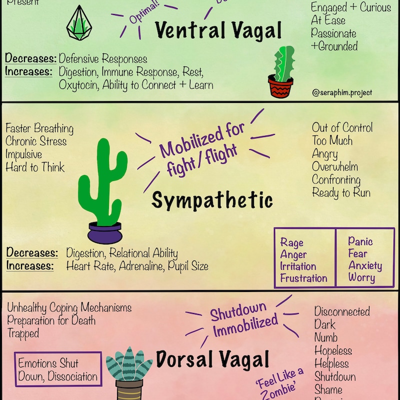 Polyvagal Theory - Etsy Canada