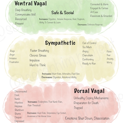 Polyvagal Theory Nervous System States Reference Sheet Etsy Uk