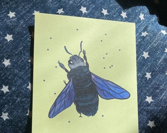 violet carpenter bee postcard