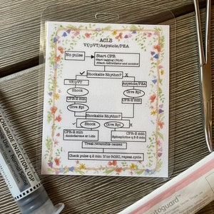 ACLS Reference Badge Buddy, Cheat Sheet, ACLS Diagram, Nurse, Nursing, NCLEX