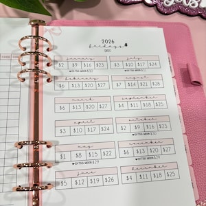 May include: A pink planner with rose gold rings and a 2026 budget sheet. The sheet has a pink border and lists monthly expenses. The text "@ezbudgets" is visible in the background.