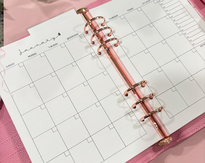 A5 Monthly Overview + Monthly Reflections, Laminated, Reusable, Budget Planner Inserts, Build Your Own Budget Planner, Includes ONE month