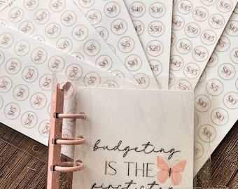 A6 Savings Challenge, Butterfly savings Challenge, Budgeting Basics Savings Bundle, Budgeting Savings Essentials,