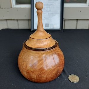 Beautiful Applewood pet urn | Applwood Cremation Urns for Human Ashes | Applwood Urns for Pets | Hand carved wooden lidded box one of a kind