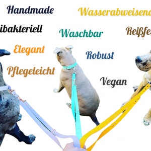 Hundeleine Biothane Zweifarbig I Führleine für Hunde I Wasser & Schmutzabweisend I vegan Bild 6