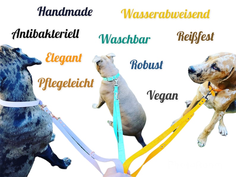 Hundeleine Biothane Zweifarbig I Führleine für Hunde I Wasser & Schmutzabweisend I vegan Bild 6