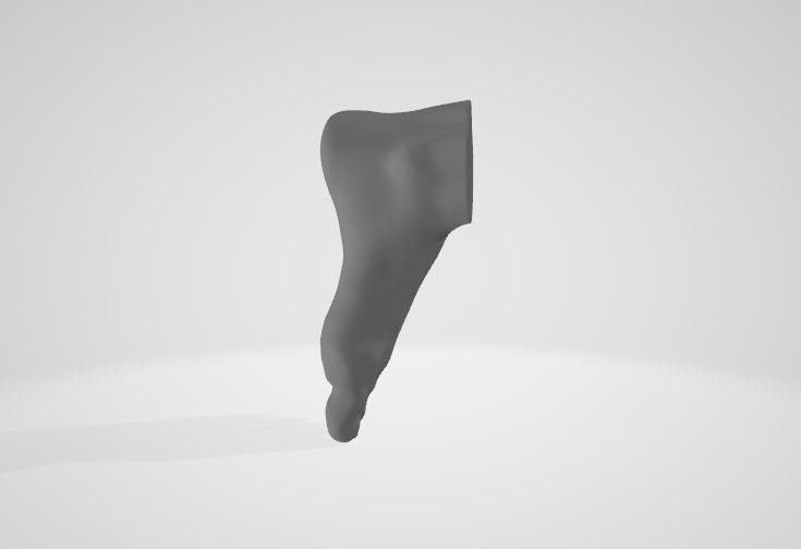 Human Body Stl File Human Body Parts Set Stl Files , Ear , Brain , Foot , Hand - Etsy