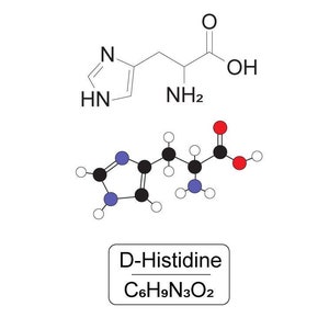 May include: A chemical structure diagram of D-Histidine, an amino acid, with the molecular formula C6H9N3O2. The diagram shows the atoms and bonds of the molecule, with carbon atoms represented by black circles, hydrogen atoms by white circles, nitrogen atoms by blue circles, and oxygen atoms by red circles.