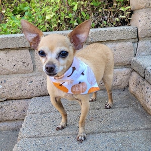 Pumpkin Bandana – Handmade – XS to XL – Pet Gift