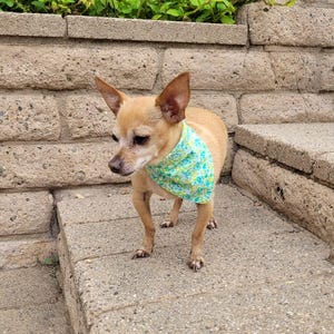 Green Flowers Bandana – Handmade – XS to XL – Pet Gift
