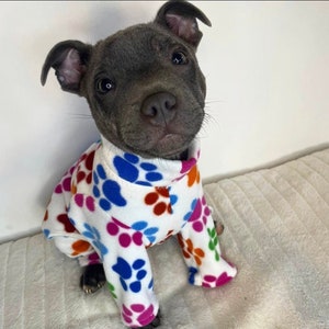 Staffy in pjs outlet