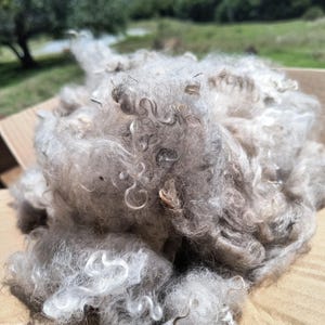 Angora mohair fiber (Percy)