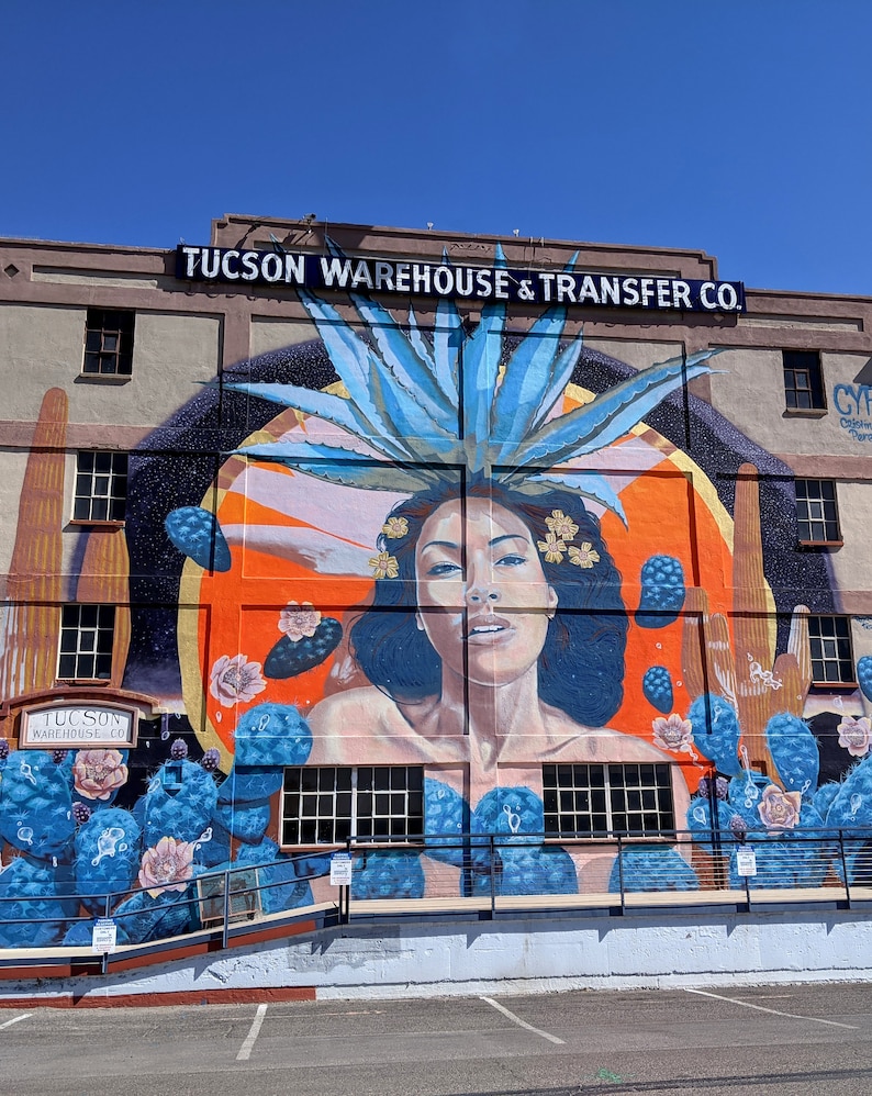 Tucson Arizona Desert Mural Color Wall Art Framed Etsy