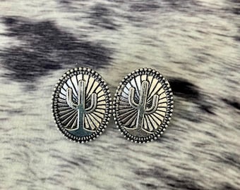 Pendientes de cactus del oeste, pendientes de plata del desierto, joyería del suroeste