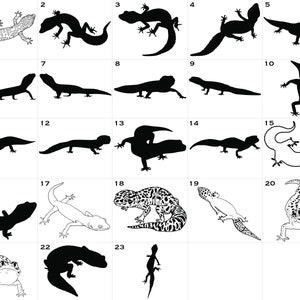 Pu&ograve; includere: Un'illustrazione in bianco e nero di 23 diverse silhouette di gechi. I gechi sono in varie pose, tra cui arrampicarsi, correre e riposare.