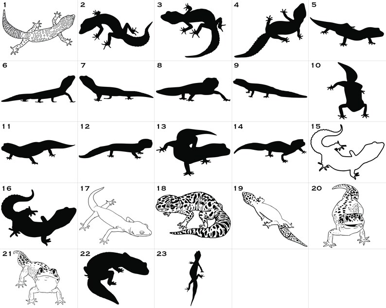 Pu&ograve; includere: Un'illustrazione in bianco e nero di 23 diverse silhouette di gechi. I gechi sono in varie pose, tra cui arrampicarsi, correre e riposare.