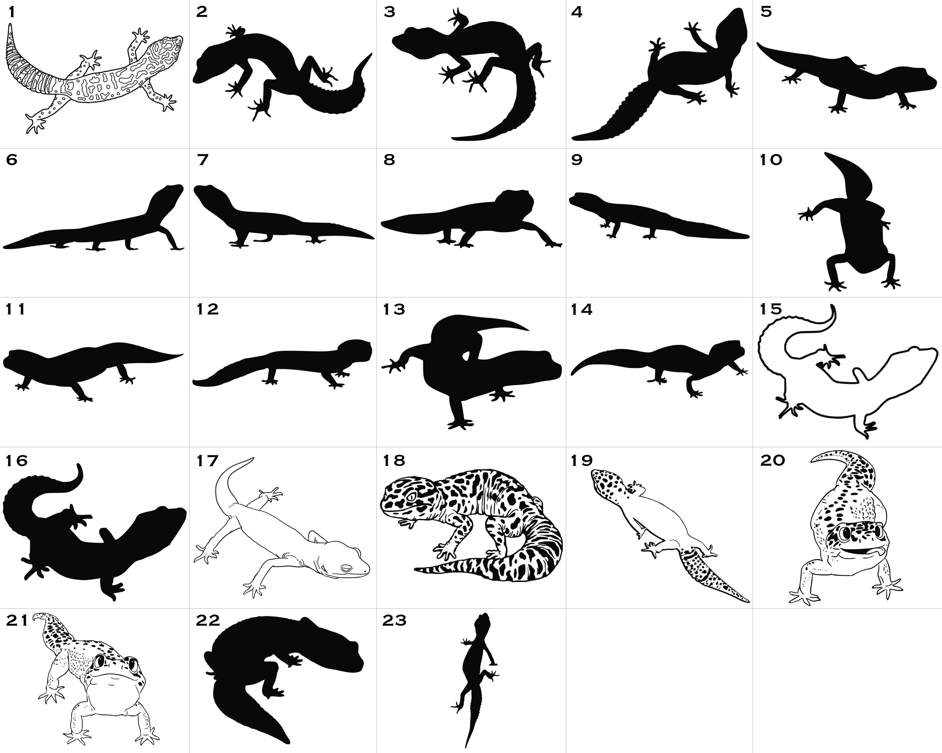 Gecko Raster Gecko SVG | Leopard Gecko Art | Lizard SVG | Bearded Dragon SVG | Gecko ...