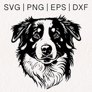 Pastor australiano SVG / Aussie SVG / Vector de cara de perro / Collie de pelo liso SVG / Sheltie SVG / SVG PNG EPS DXF Formatos