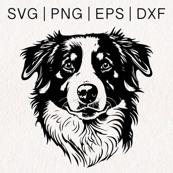 Australian Shepherd SVG | Aussie SVG | Dog Face Vector | Smooth Collie svg | Sheltie svg | svg png eps dxf Formats
