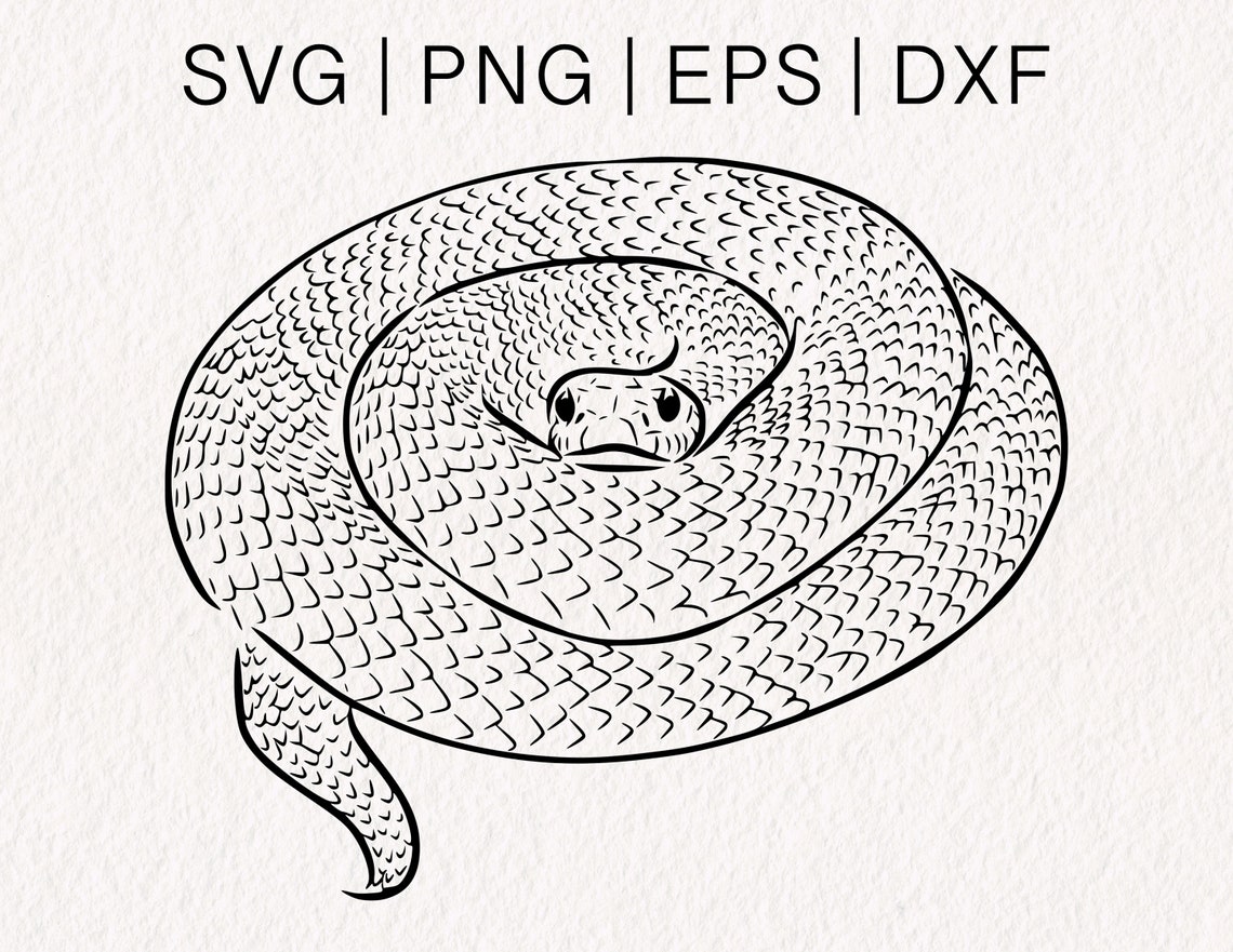 Rattlesnake SVG Snake SVG Snake Skin Svg Reptile Svg Viper Svg Cobra
