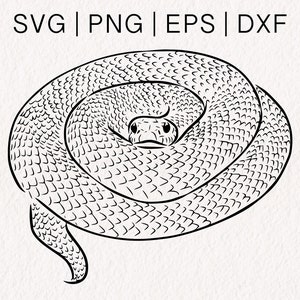 Ratelslang-SVG | Slang-SVG | Slangenhuid-svg | Reptiel-svg | Viper-svg | Cobra-svg | Reptiel-svg
