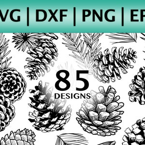 Pacchetto SVG di Pigna (85 disegni) / Clipart di Pino / Vettore di Pino / PNG di Pino / SVG di Ghianda