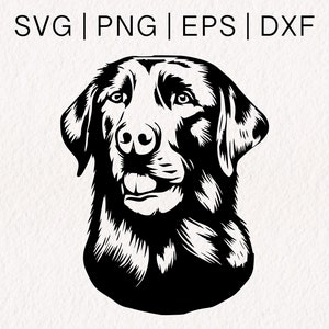 Labrador Head SVG | Labrador Cricut | Labrador svg | Dog Outline svg | Service Dog svg | svg png eps dxf Formats