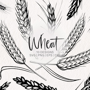 Pacchetto SVG di grano / Cereali in formato SVG / Raccolto di grano in formato PNG / Agricoltura in formato SVG / Mais in formato SVG / Corona del Ringraziamento in formato SVG