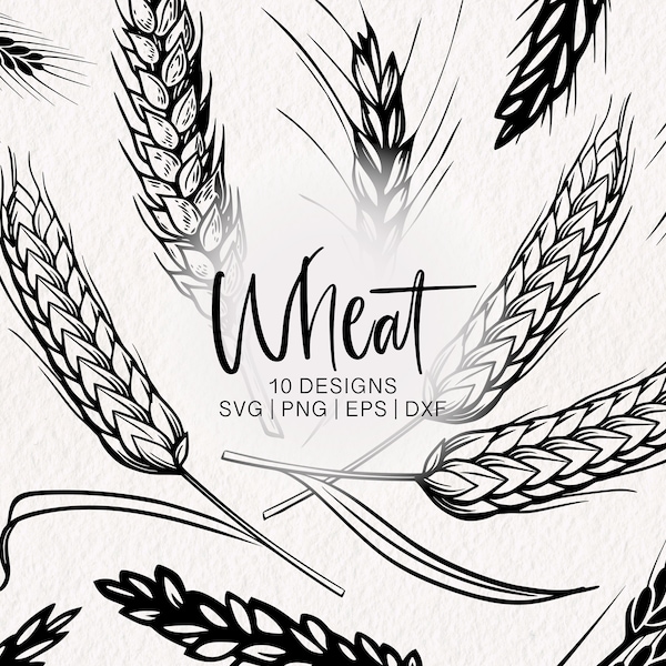 Wheat SVG Bundle | Cereal svg | Harvest Wheat png | Farming svg | Corn svg | Thanksgiving Wreath svg