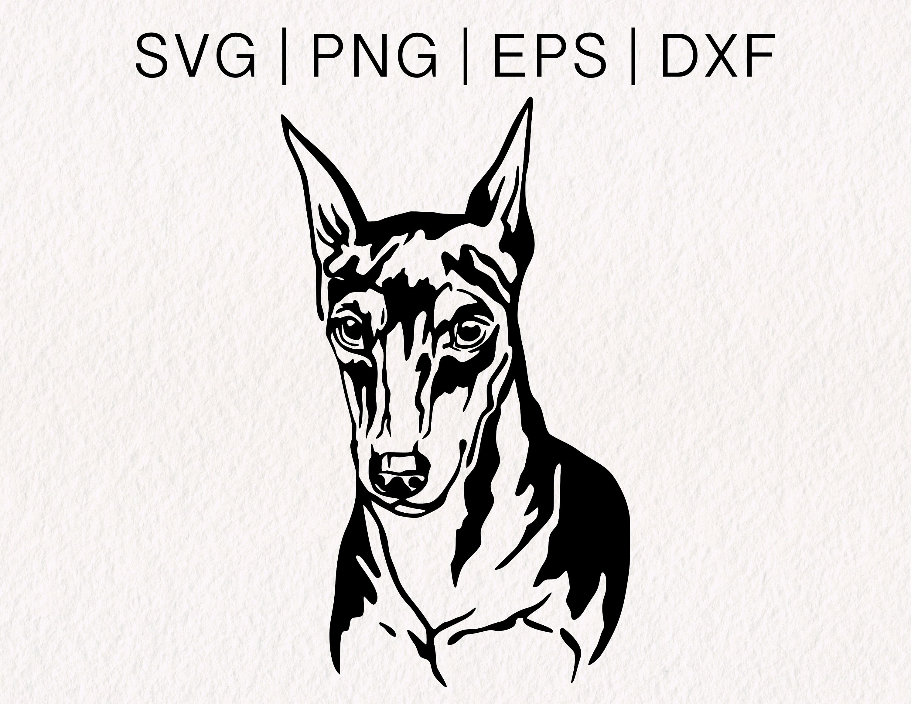 Pinscher miniatura SVG / Doberman SVG / Doberman Papá / Vector de cara de perro / Doberman Pinscher / Formatos SVG, PNG, EPS y DXF