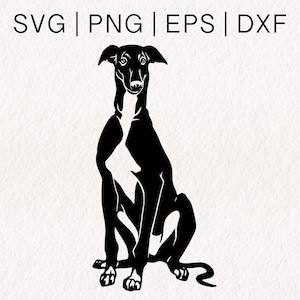 Levriero SVG / Vettore faccia di cane / Levriero italiano / Contorno cane svg / Formati svg png eps dxf
