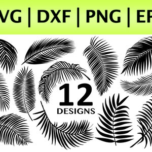 Puede incluir: Diseños digitales en blanco y negro con 12 diseños diferentes de hojas de palma. La imagen incluye los tipos de archivo SVG, DXF, PNG y EPS en la esquina superior izquierda.