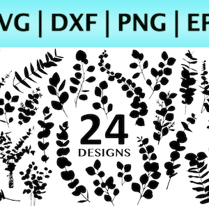 Paquete SVG de eucalipto (24 diseños) Archivo de corte de silueta / formatos SVG, PNG, DXF y EPS / Cricut / Hojas tropicales SVG / Hoja de planta de interior botánica