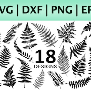 Fougère SVG Bundle Silhouette coupés fichiers Cricut | Feuilles tropicales SVG | Plante d'intérieur feuille botanique vignes SVG