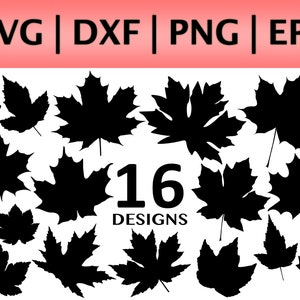 Pacchetto SVG di foglie d'acero Silhouette Cut Files Cricut / svg dxf eps png Foglie autunnali / Bandiera canadese