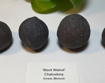 Black Chalcedony orbs, weird stone formations from Morocco, "Black Walnut" Chalcedony