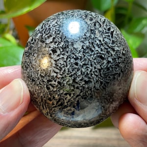 Brecciated Black Tourmaline palm stones, 2.5 - 3.0&quot;,  Black Tourmaline in Quartz, from Madagascar