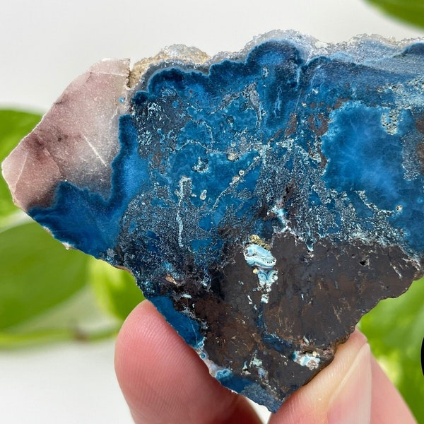 Shattuckite polished pieces, beautiful blue, with Cuprite, Quartz and/or Malachite, 2.75", from Namibia