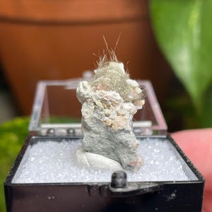 Millerite from Halls Gap Kentucky, thumbnail specimen in Perky Box