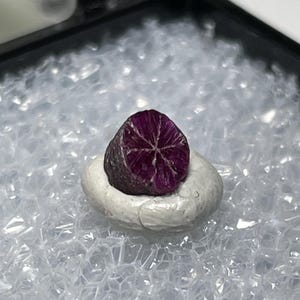 以下が含まれることがあります： 上部に星型の模様がある、小さな濃い赤色の宝石が、白い楕円形の石の上に置かれています。 宝石は、透明な気泡状の梱包材で満たされた黒い箱に展示されています。 左下隅には文字「E」が見えます。