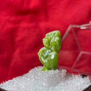 May include: A vibrant green peridot crystal cluster, displayed in a clear plastic case with a black base. The crystal sits atop a bed of white, fluffy material, against a red background. The peridot is a bright, translucent green.