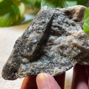 May include: A rough, irregularly shaped rock with a mix of gray, black, and light pink hues. The stone has a textured surface with visible mineral grains and a slightly crystalline appearance. The rock is held in a hand, with green foliage in the background.