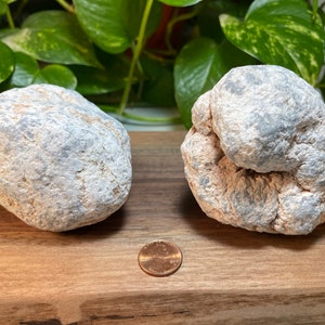 Angelite nodules -- rough unpolished Angelite, 3&quot; natural stone -- from Peru