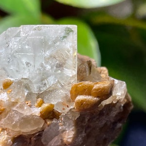 Fluorite with Siderite from France, glassy clear crystal on 1.5&quot; matrix from rare locality Framont / Alsace region, ex-Lemanski collection