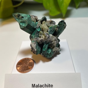May include: A green malachite crystal cluster on a white display stand with a penny for scale. The label reads "Malachite, Bisbee, Warren District, Mule Mts., Arizona".