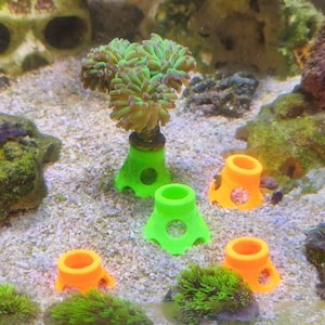 Fluorescent Reef Items