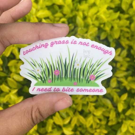 Touch Grass Meme Sticker | Poster